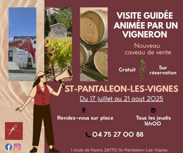 Visite de cave les jeudis de Juillet et aout (sauf 31/07) reportée ven 1er aout